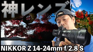 【カメラ】NikonのZ14-24mmF2.8は神レンズと言い切れる最高のレンズでした！