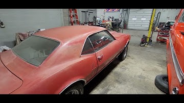 A rare bird in, pinch me please