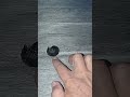 unique insect