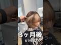 東京/表参道 顔周り明るいカラー3ヶ月後どうなる? Instagram@akihiro_shimo 】