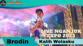 Kalih Welasku Brodin New Pallapa Live Nganjuk Expo GOR Bung Karno 21-01-2023 AN Promosindo