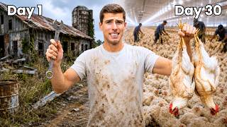 I Tried Raising 15,000 Chickens For The First Time