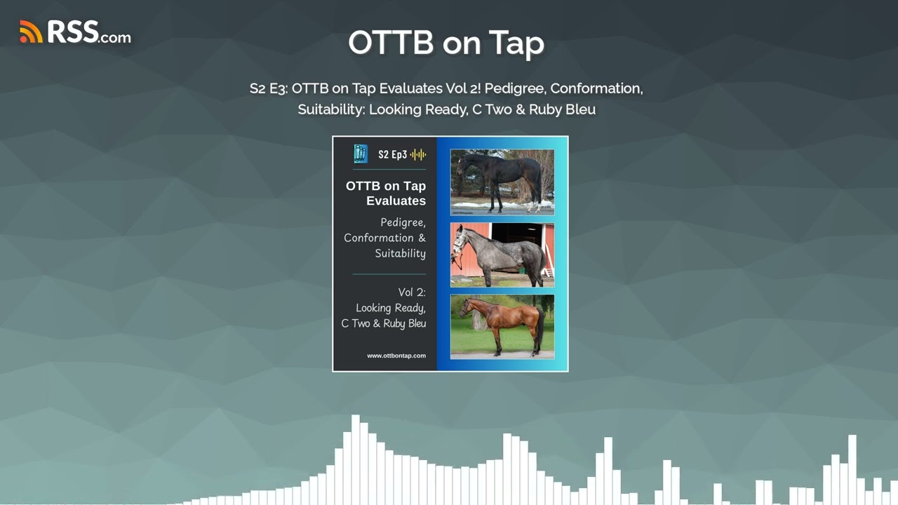 S2 E3: OTTB on Tap Evaluates Vol 2! Pedigree, Conformation, Suitability: Looking Ready, C...
