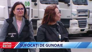 Condamnarea primită de o româncă după ce a introdus în țară 33 de TIR-uri de deșeuri textile