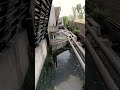 #Minivlog इसको क्या बोलते है 🥱🥱 #shortvideo #1dailyvlog