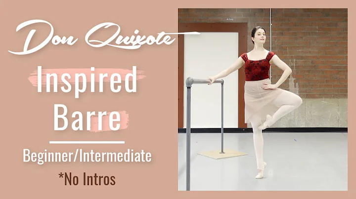 NO INTROS Don Quixote Inspired Barre | Beginner In...