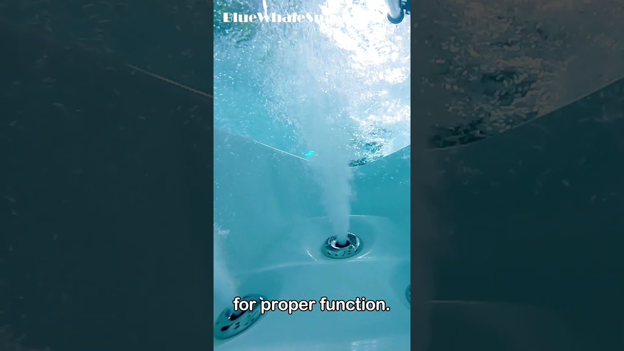 6 Month Hot Tub Care | Blue Whale Spa