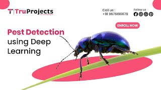 Pest Detection using Deep learning