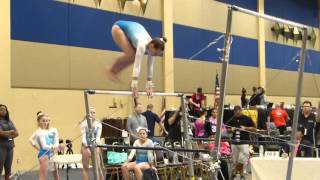 Ashley Level 8 Bars