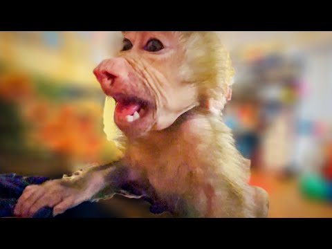 Малыши собрались спать, но Степашка резко поменял планы и ЗАХОТЕЛ ОБНИМАШЕК-ЦЕЛОВАШЕК)))