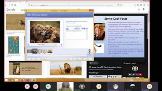 Install and work on Microsoft Photo Story 3.....