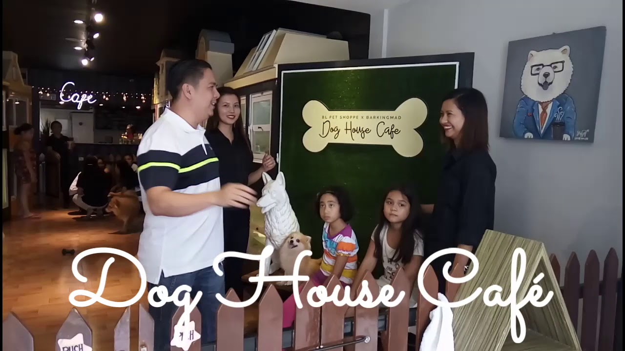 Dog House Café YouTube