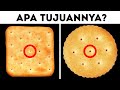 Kukis dan Cracker Berlubang Kecil dan 74 Detail yang Telah Kamu Lewatkan