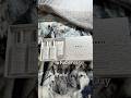 Men’s Facial: K Beauty edition