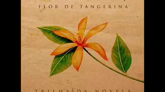 Alceu Valença - Flor de Tangerina Alceu Valença - Flor de Tangerina