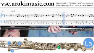 Уроки флейты Happy - Birthday Ноты Самоучитель часть 2 um-b821 Уроки флейты Happy - Birthday Ноты Самоучитель часть 2 um-b821