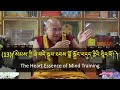 ( 13 )༼ སེམས་ཀྱི་ཞི་བདེ་སྒྲུབ་ཐབས་བློ་སྦྱོང་བདུད་རྩིའི་སྙིང་པོ། ༽The Heart Essence of Mind Training