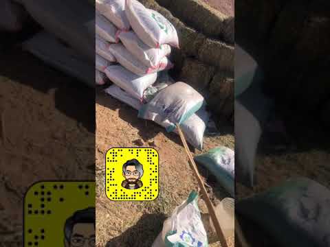 تجربتي لعلف وافي