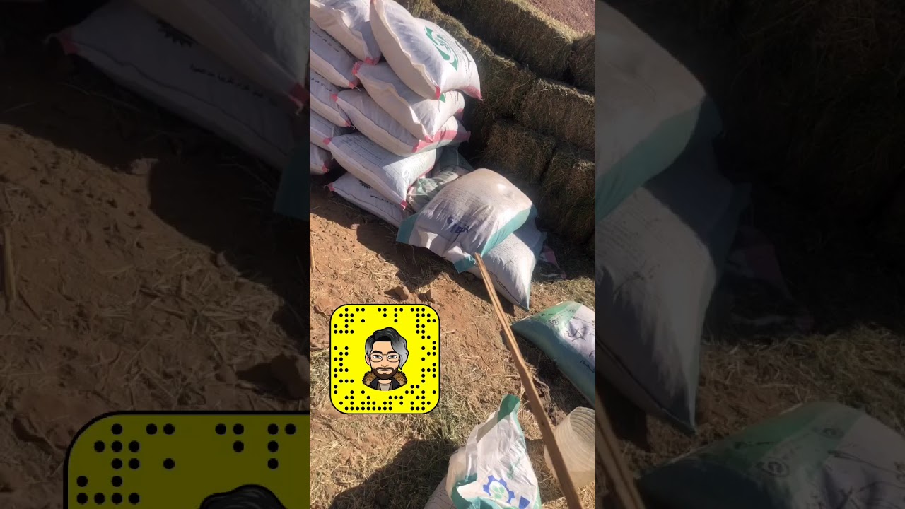 تجربتي لعلف وافي 👎👎