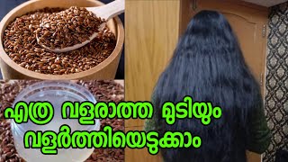  Flax Seed Gel For Faster Hair Growth  Hair Care Malayalam   Vlogification