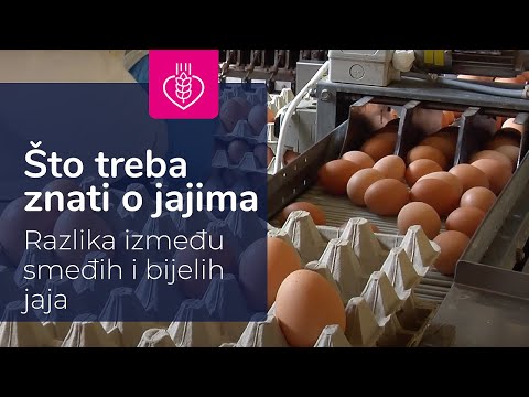 Video: Zašto su jaja kupljena u trgovini bijela?