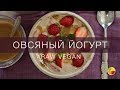 Овсяный Йогурт Пробиотики для Микрофлоры Кишечника