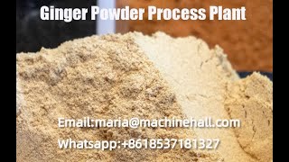 Automatic Ginger Powder Processing Machine Line #ginger #powder
