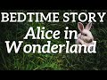 Bedtime Stories For Grown Ups 💕 Alice in Wonderland 🌹 Alice Drinks the Potion 🧪Chapter 4 🐇