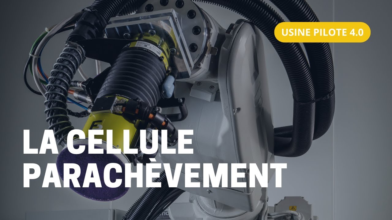 Logo Cobra Royal Avec Une Couronne Dorée Sur Le Devant | Vecteur Premium