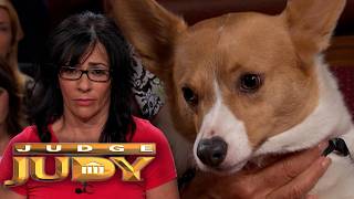 Neighbor Denies Corgi Attack!