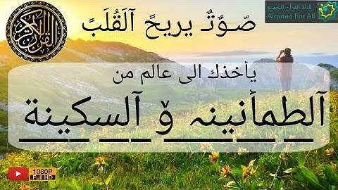 قراءه تملأ قلبك راحة و طمأنينة| لما تيسر من سورة العنكبوت| للقارئ عبد الرحمن مسعد