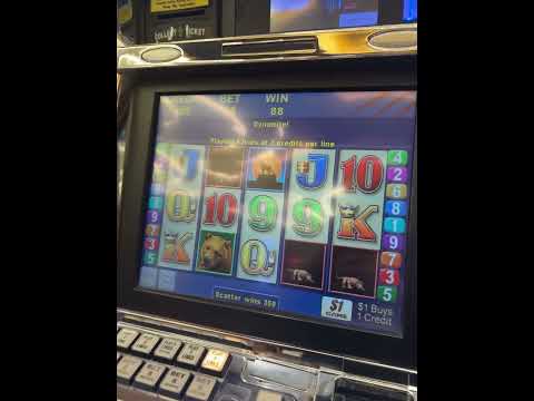PARTY ISLAND | OMG! Gold Coast Hotel and Casino - Las Vegas, Nevada