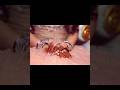 phoolon Se |#love romantic song 💞#viral #shorts 💘