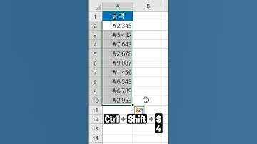 [엑셀] 원(￦) 통화 표시하기 / How to Display $, ￦ Currency in Excel