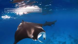 Great Barrier Reef Day Trip ex Hervey Bay/Fraser Coast