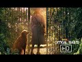 Film The Secret Garden (2020) Official Trailer | cXone