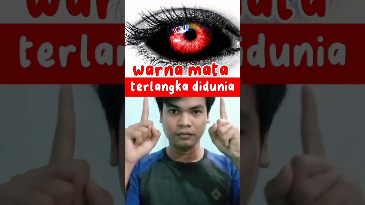INILAH WARNA MATA TERLANGKA DI DUNIA 