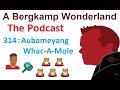 A bergkamp wonderland  314  aubameyang whacamole an arsenal podcast