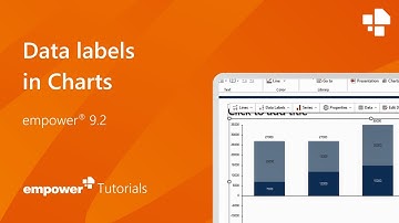 Data Labels - Charting with empower®