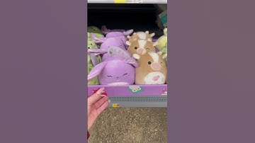 NEW EASTER SQUISHMALLOWS #squishmallows #squishmallowhunting