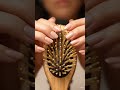 ASMR-SCRAPING BRISTLES
