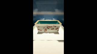 Životinje Na Predmetima Ožive