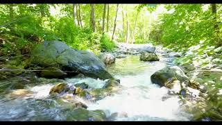Stream in Fort Jones, Ca