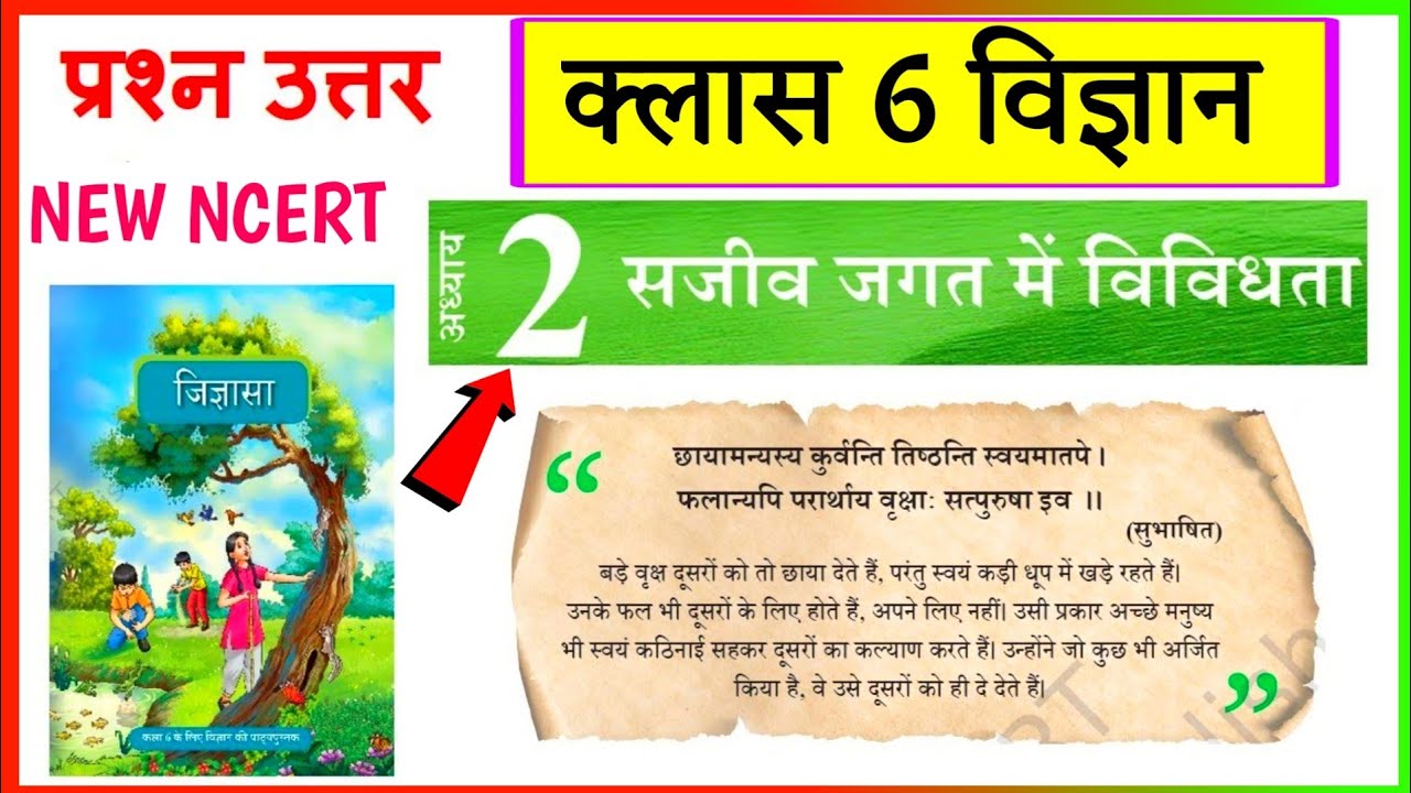 class 6 jigyasa chapter 2 question answer | ncert class 6 science chapter 2 question answer new book