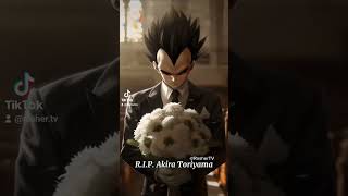 R.I.P. Akira Toriyama