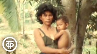 Весна в Пномпене. Документальный фильм (1979)