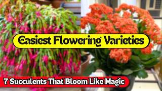 7 Succulents That Bloom Easily | Best Flowering Succulents for Beginners