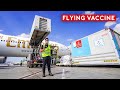 Aviation's Next Challenge: How Do Airlines Transport Vaccines?