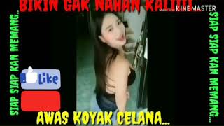 Pasti Nya Anda Gak Nahan Negok Nya, Kumpulan Tik Tok I...