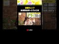逆億り人！？水谷隼のポートフォリオ #マネーのまなび #パックン #武藤十夢  #投資 #貯蓄 #BSテレ東 #テレ東biz